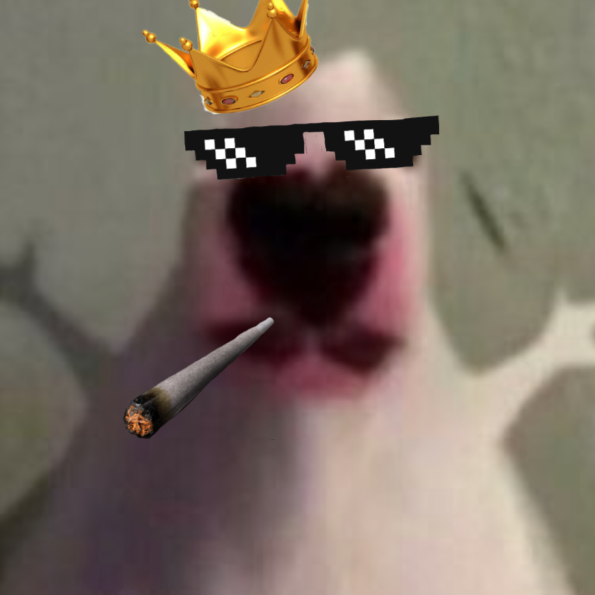 Owner
